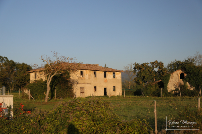 Auf dem weg von S.Lucia nach Mugello Circuit _2019_25